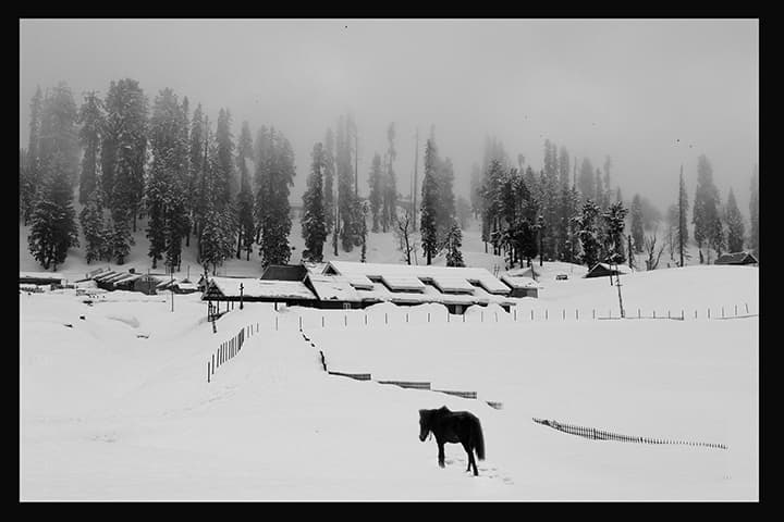 Snow village with lone dark horse